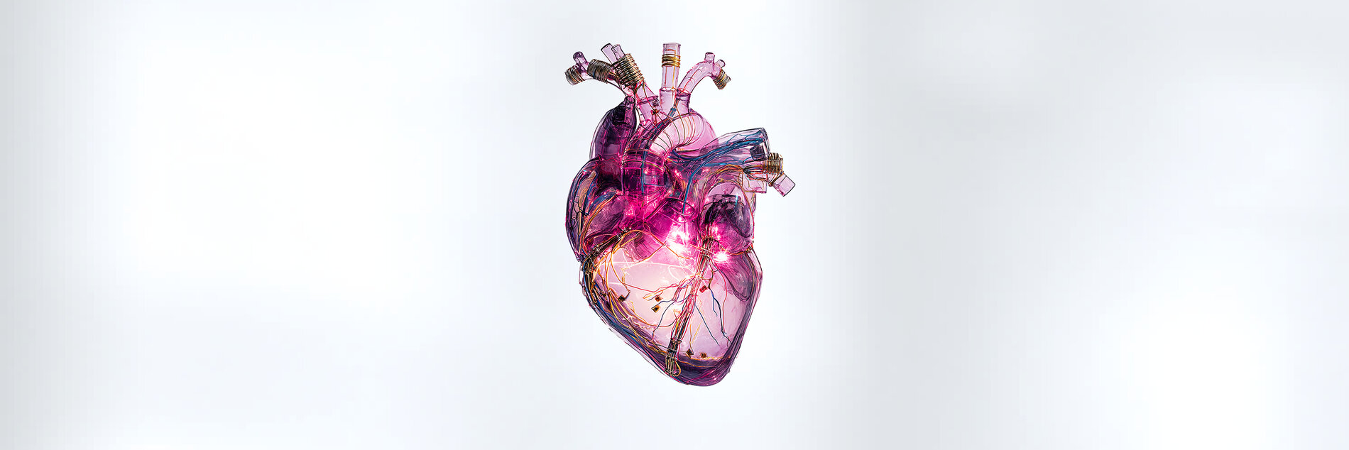 Muquabis at the Novel Optical Techniques in Cardiac Electrophysiology (NOTICE2025), Freiburg, Germany, 15-16 September 2025